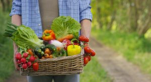 How to Find the Best Food Suppliers for Your Mobile Kitchen?