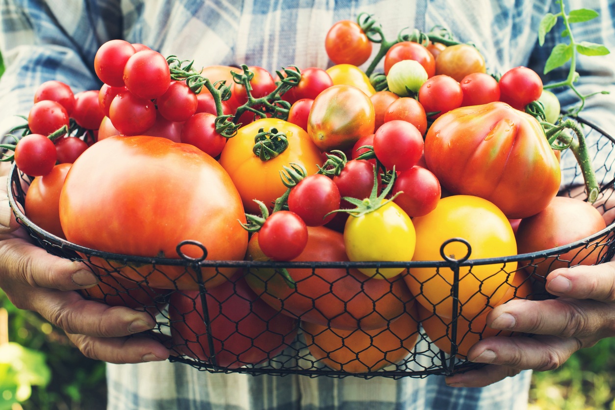 A Chef Guide to NYCs Best Farmers Market Finds 5 Peace, Love – and Locally Grown Heirloom Tomatoes! - Oliver's Markets